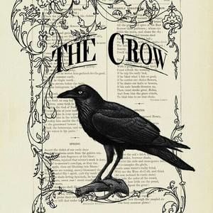 Meet your Posher, Tammie